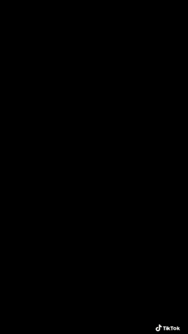 FinalGif-17470561951
