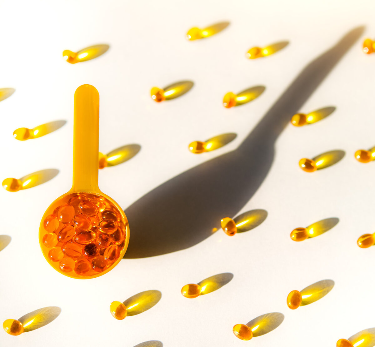 Nutraceuticals & Endocannabinoid Science
